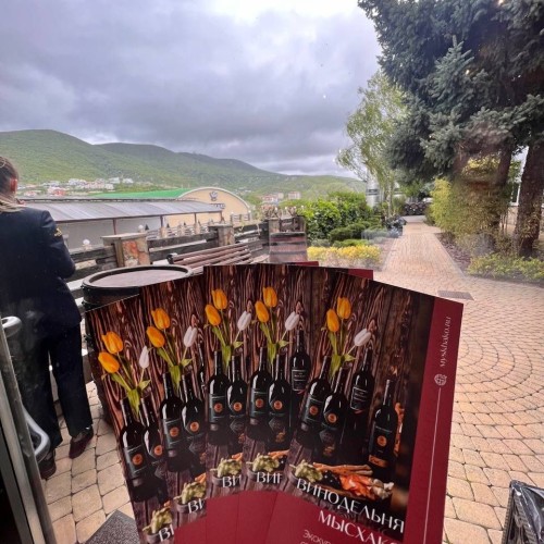 Вкусы черноморского побережья: винное путешествие по Сочи, Новороссийску, Геленджику, Анапе и Тамани