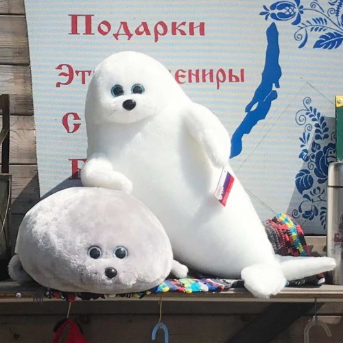 Листвянка, Байкал и музей Тальцы за 1 день