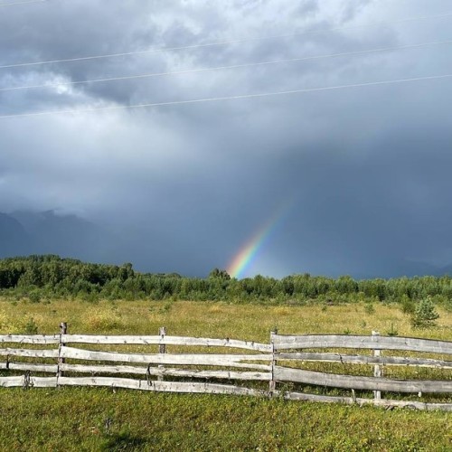 Два глубочайших озера-брата: путешествие на север Монголии и на Ольхон
