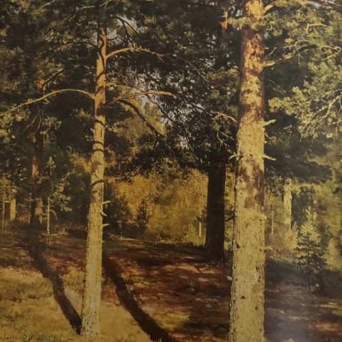 Экскурсия в Русском музее «Иван Шишкин: певец родной природы» (билеты включены)