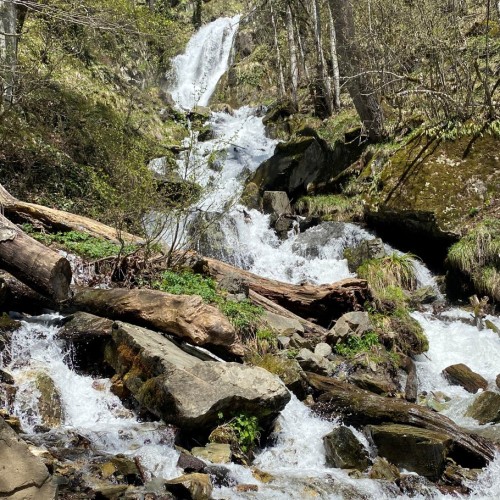 Лёгкий треккинг к водопаду Красной Поляны
