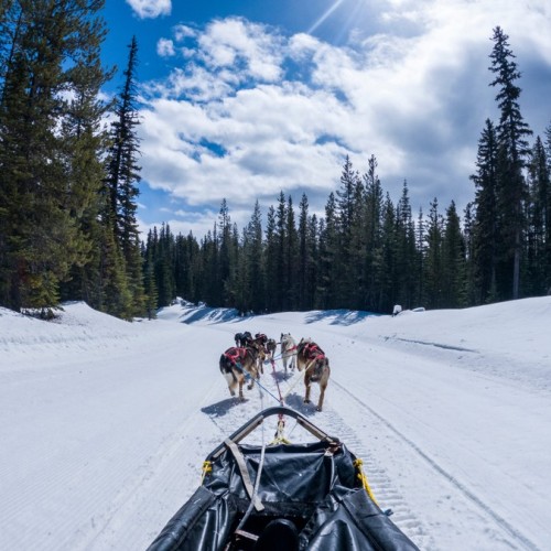 Активный тур на зимний Байкал: катание на снегоходе, хивусе и коньках и подлёдная рыбалка