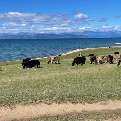 Два глубочайших озера-брата: путешествие на север Монголии и на Ольхон