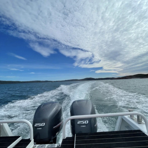 Уик-энд на Кольском: дегустация морепродуктов, Териберка, киты и экскурсия по Мурманску