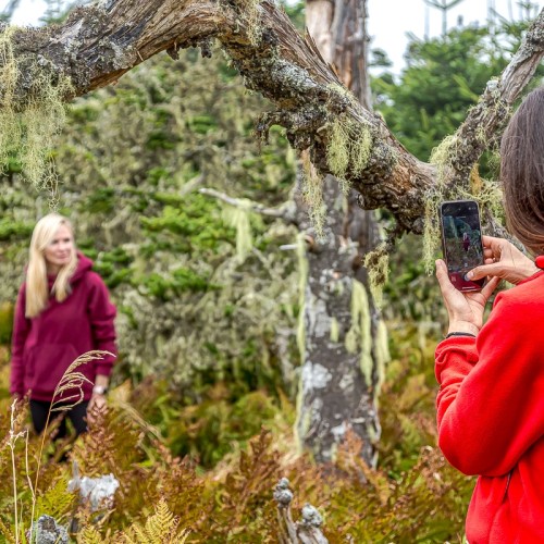 Путешествие на юг Курил: бухты, пляжи и мысы острова Шикотан