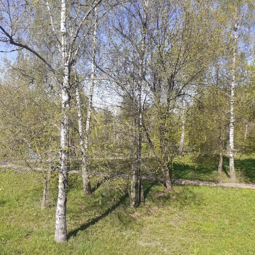 Коломенское: Старый Государев двор (в мини-группе)