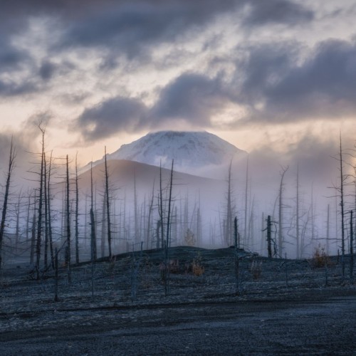 Большое путешествие по Камчатке: вулканы, глэмпинг в Мёртвом лесу и круиз в бухту Русская