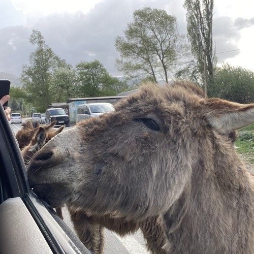 Индивидуальная поездка на внедорожнике по топовым местам Северной Осетии