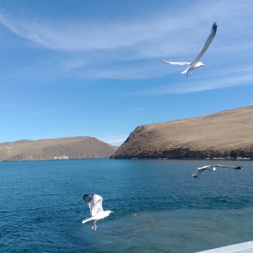 Степи бурятские, сторона байкальская: Ольхон, мрамор, туманные склоны и мастер-класс (индивидуально)
