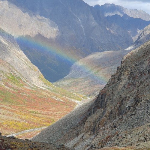 Дюны среди тайги: поход к Чарским пескам с ночёвками в палатках на природе