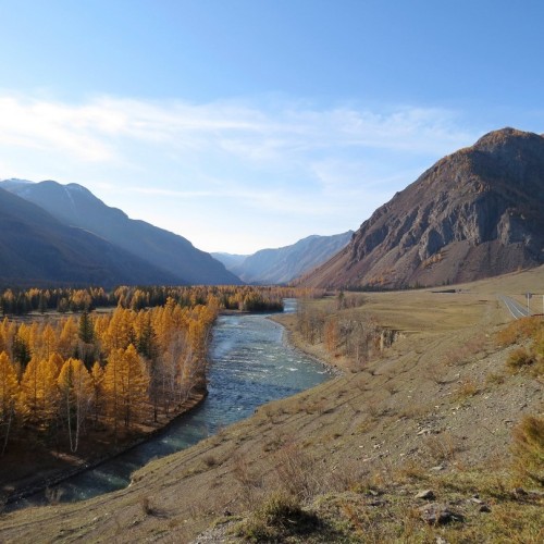 Из Алтая, по Чуйскому тракту — в Монголию на фестиваль беркутчи с проживанием в юрте