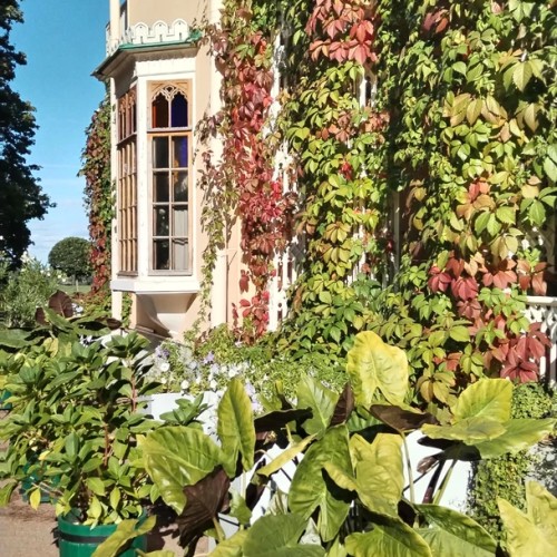 Готика в Петергофе: парк «Александрия»