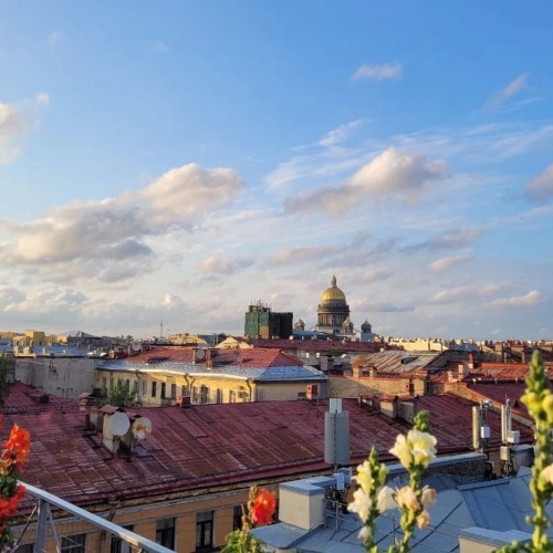 По секретным барам — на премиальном авто с панорамной крышей