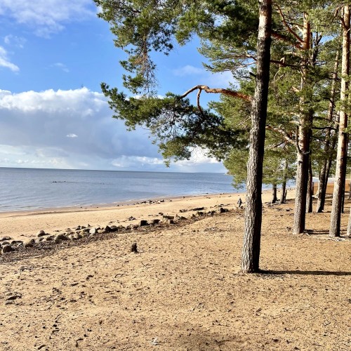 Финское наследие Зеленогорска/Терийоки