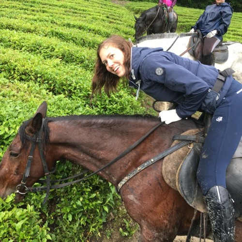 На лошадях по предгорьям Сочи: прогулки для новичков и опытных всадников