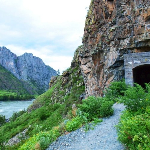 Дикий Алтай: Ороктойский мост, петроглифы и водопад Бельтертуюк