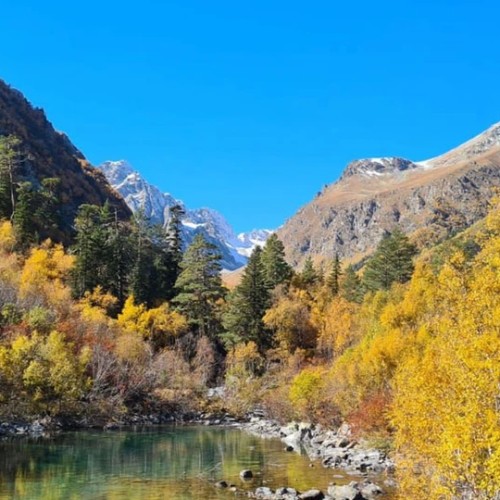 Лёгкий треккинг в горах Домбая с комфортом