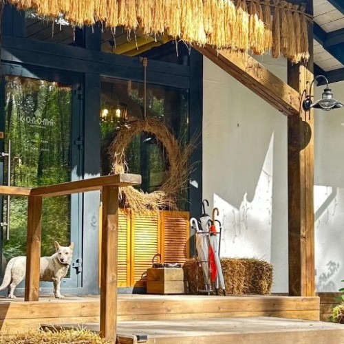 Вдохновение Алтая: ретрит в женской мини-группе с проживанием в уединённых домиках