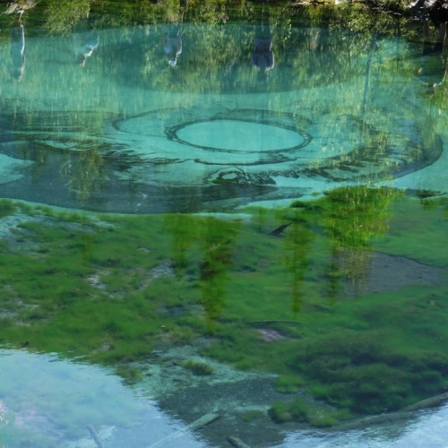 Загадки алтайского Золотого кольца: Чуйский тракт, Телецкое озеро, Марс и другие топовые места