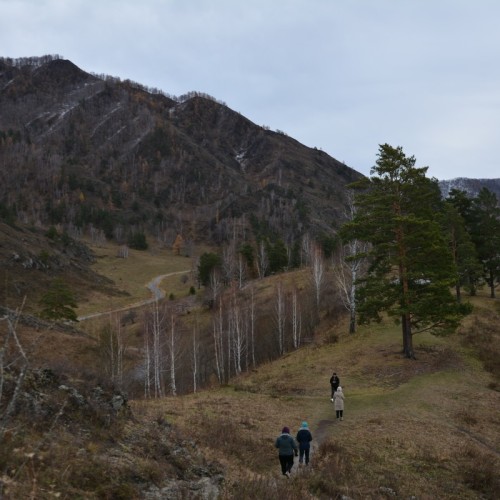 Красота Алтая: Чемальский район и Чуйский тракт