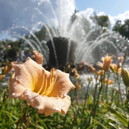 Петергоф и Кронштадт на автомобильной экскурсии