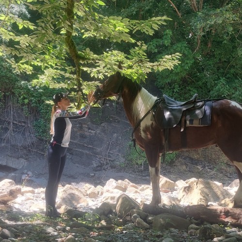 Приключения на лошадях в Сочи для новичков и опытных: по ущельям, долинам и лесам