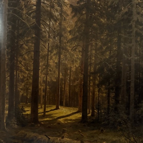 Экскурсия в Русском музее «Иван Шишкин: певец родной природы» (билеты включены)