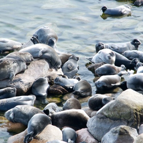 За трофеями на Байкал с местными: рыбалка с катера, катамарана и на реках