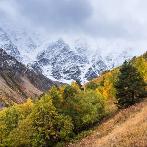 Прогулки по ущельям Северной Осетии и Владикавказу