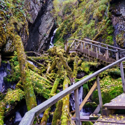 Топовые места Алтая в мини-группе: Гейзерное озеро, Чуйский тракт, долина Горных духов и Патмос