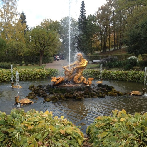 В Петергоф на «Метеоре» с посещением Нижнего парка и фонтанов