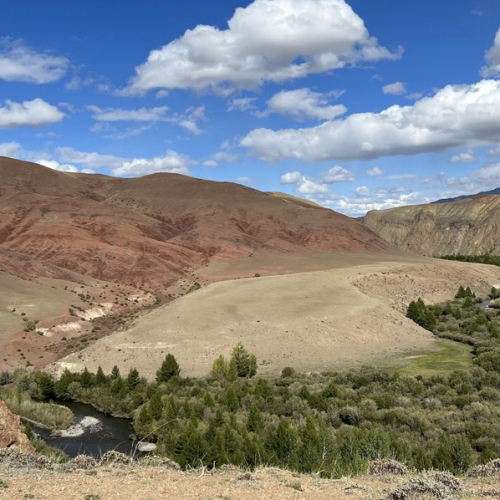 Интернет-детокс и отдых от забот и суеты в горах Алтая