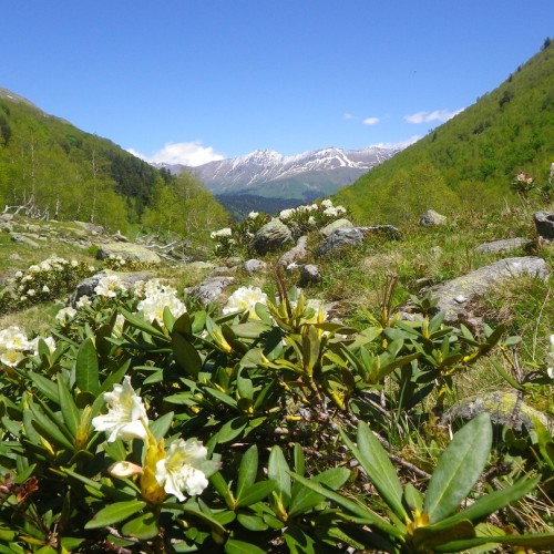 Треккинг-тур в Архыз с комфортом: прогулки в горах налегке с проживанием в гостевом доме