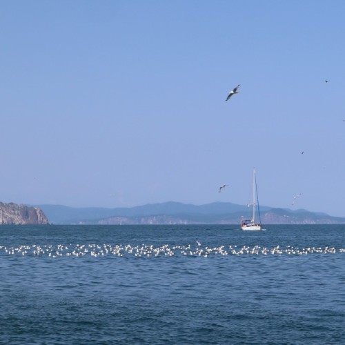 Активный отдых на Камчатке в мини-группе: треккинги, сплавы, квадроциклы