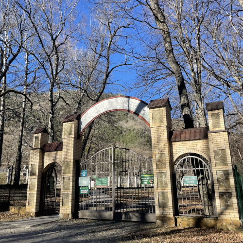 По Домбаю в мини-группе: горы, озеро Кара-Кёль и Тебердинский заповедник