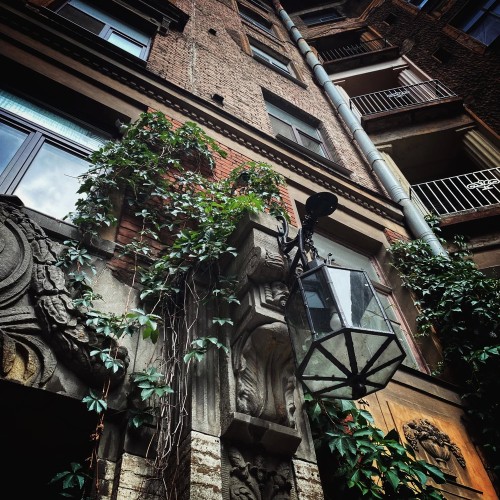 Петербург мистический и криминальный