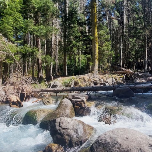 4 города Кавказских Минеральных Вод и Домбай в индивидуальном формате