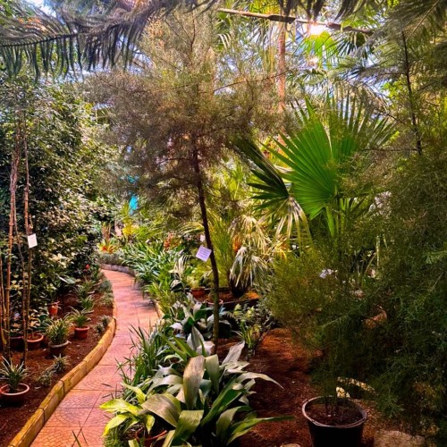 Териберка, Хибины, Мурманск: выходные в мини-группе с поездкой за северным сиянием