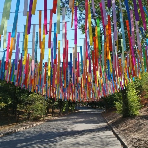Тур-погружение в культуру Калмыкии: от степных легенд до буддийских святынь