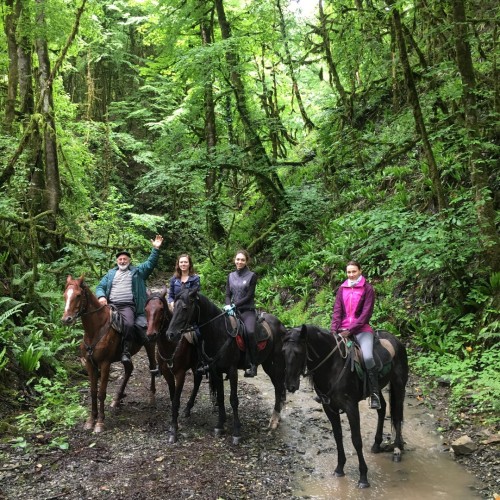 На лошадях по предгорьям Сочи: прогулки для новичков и опытных всадников