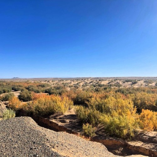 От пустыни до оазисов: большое путешествие по Монголии и Улан-Удэ