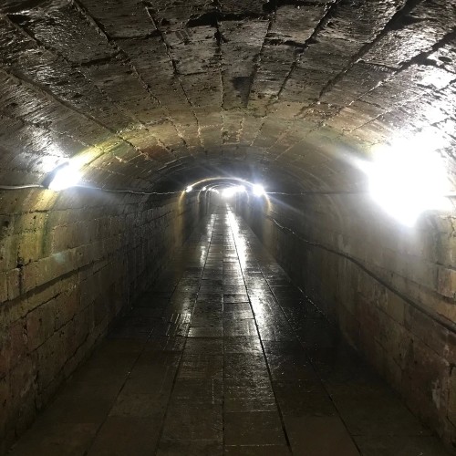 Гатчина: царский подарок (билеты включены)