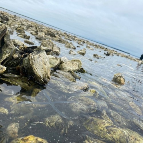 Объятый ветрами: автопутешествие по знаковым локациям Сахалина