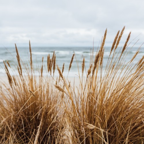 Выходные в европейском стиле: Калининград, Светлогорск и Зеленоградск
