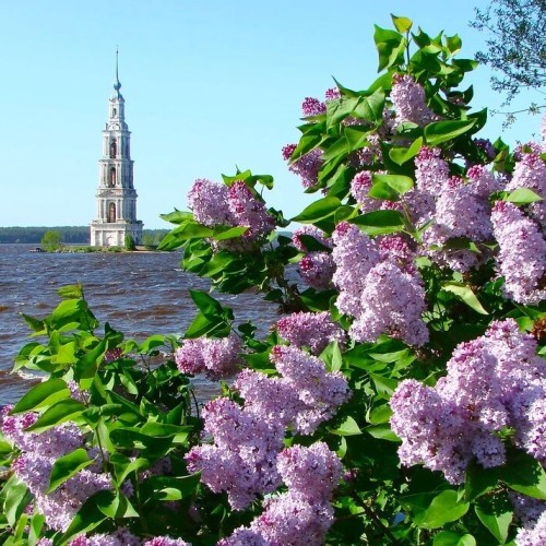 5 древних городов на берегах могучей Волги: автобусный тур из Москвы с дегустацией сыра