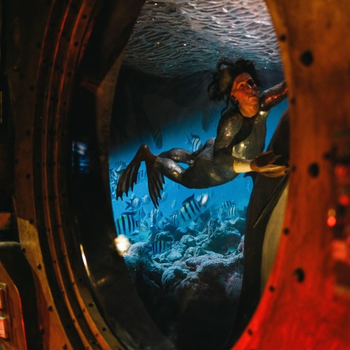 По инсталляции «Авторский стиль» в Петербурге — в мир учёных и творцов