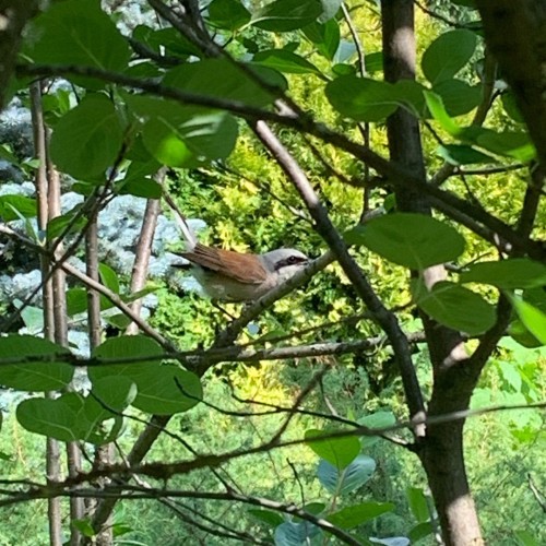 Сказочный Алтай: местные промыслы и природные достопримечательности