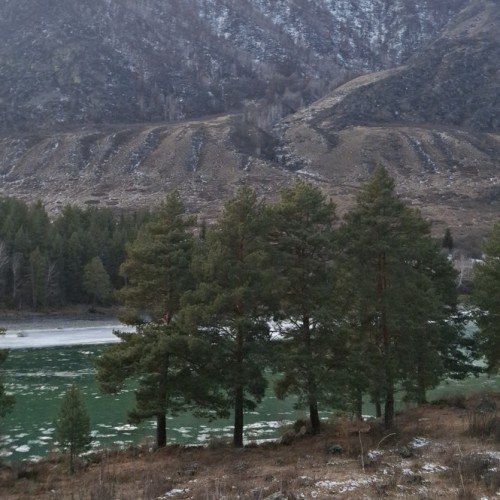 Индивидуальное путешествие по Алтаю: исследуем край на джипе