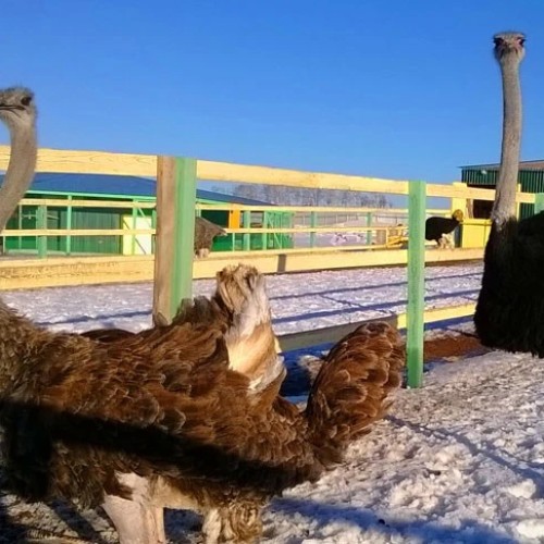 Башкирское предуралье: от озерных глубин до горных вершин