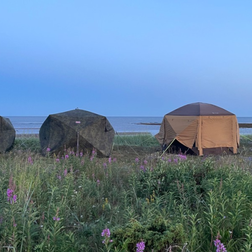 Индивидуальный джип-выезд по Терскому берегу в формате «всё включено»